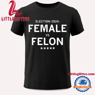 Election 2024 Female Vs Felon Unisex T Shirt