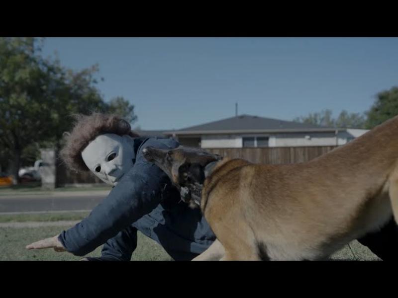 3 does michael myers kill animals