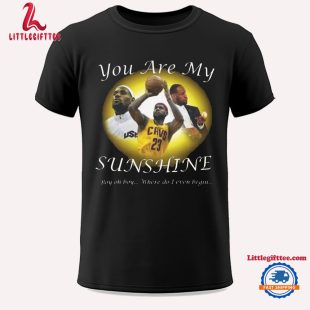 Lebron James You Are My Sunshine Graphics Design Tee, NBA Lebron James T Shirt