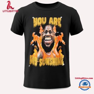 Lebron James You Are My Sunshine Shirt, NBA Los Angeles Lakers Lebron James Meme T Shirt