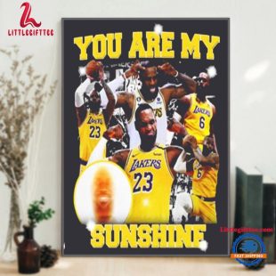 NBA Los Angeles Lakers Lebron James You Are My Sunshine Meme Design Poster Canvas Home Decor