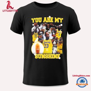 NBA Los Angeles Lakers Lebron James You Are My Sunshine Meme Design T Shirt