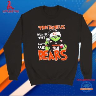 Chicago Bears The Grinch Santa They Hate Us Because They Ain’t Us Christmas Holidays T Shirt